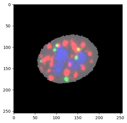 ../_images/notebooks_mpp_data_21_0.png