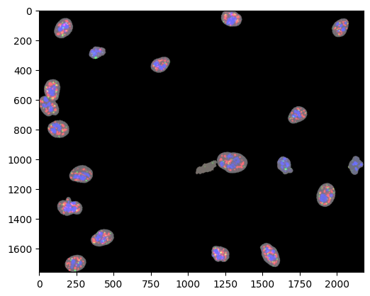 ../_images/notebooks_mpp_data_17_1.png