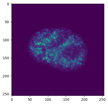 ../_images/notebooks_nn_dataset_13_2.png